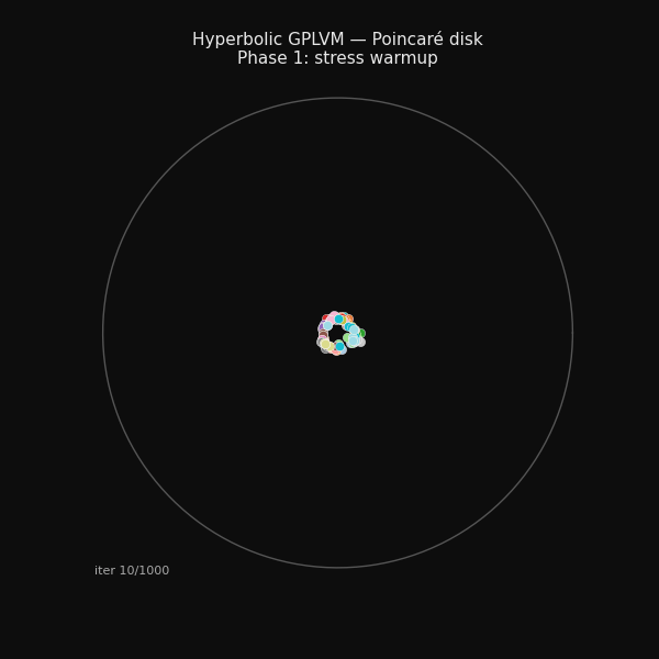 Training evolution on Poincaré disk